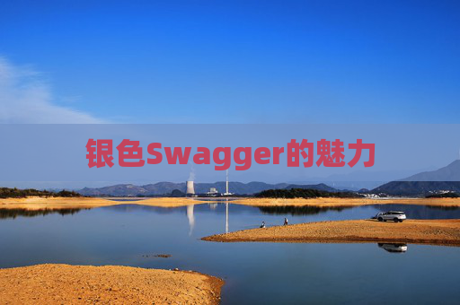 银色Swagger的魅力